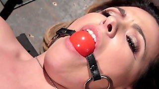 Gagged Hogtied Darkhaired Made To Squirt