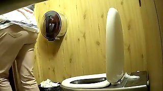 Park Toilet 3