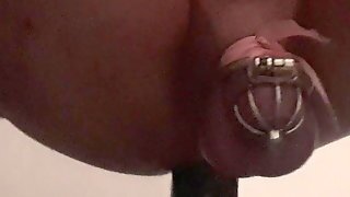 Bianca-the-bitch 11 Inch Dildo Sissygasm